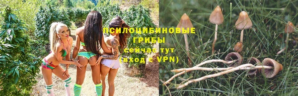 прущая мука Мегион