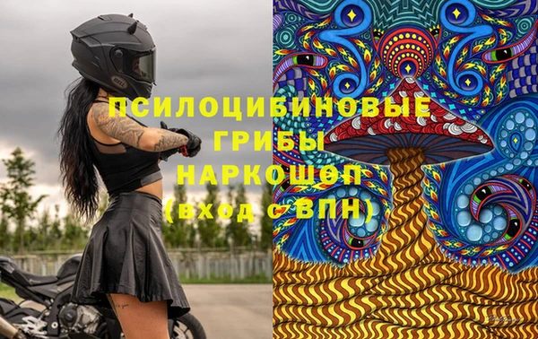 ПСИЛОЦИБИНОВЫЕ ГРИБЫ Медногорск